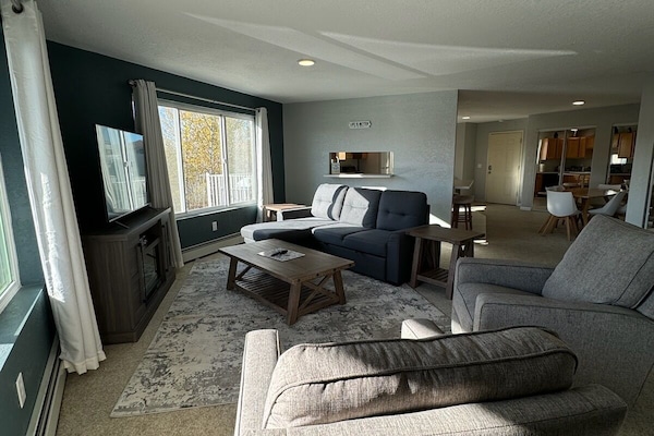 Smart TV, fireplace, books