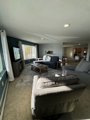 Smart TV, fireplace, books
