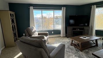 Smart TV, fireplace, books
