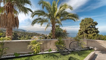 Terras