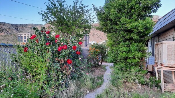A garden path leading to a house with a wooden deck, surrounded by greenery and a mountain backdrop.