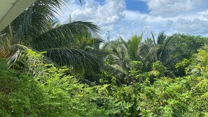 Deluxe Villa, Ocean View | Garden view