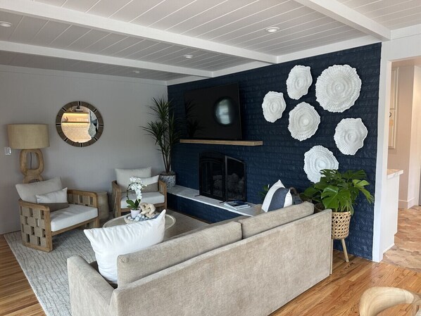 TV, fireplace, books