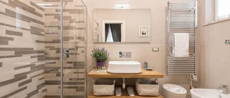 Shower, hair dryer, bidet, towels