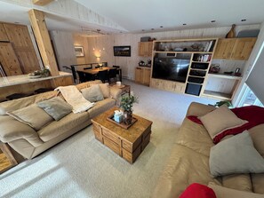 TV, fireplace, DVD player, books