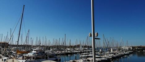 Marina