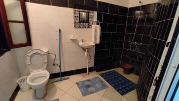 Ducha, toallas, jabón y papel higiénico