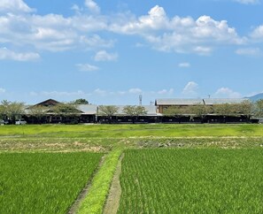 Exterior - kinasse (Yamaga)