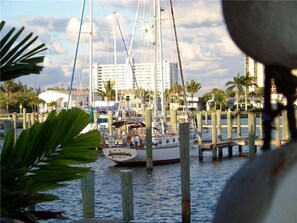 Boats dock at the marina, surrounded by palm trees and a nearby building.