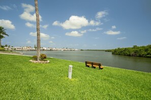 Relax by the serene river with a bench under the shade of a tall palm tree.