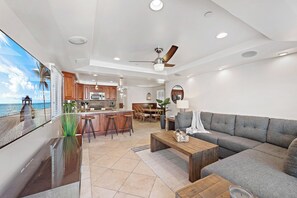 تلفزيون، مدفأة