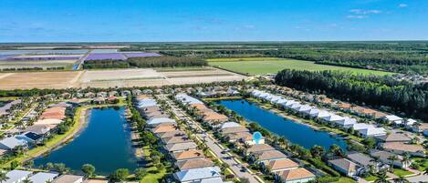 An aerial view of a residential area with multiple houses, a central water feature, and surrounding greenery.