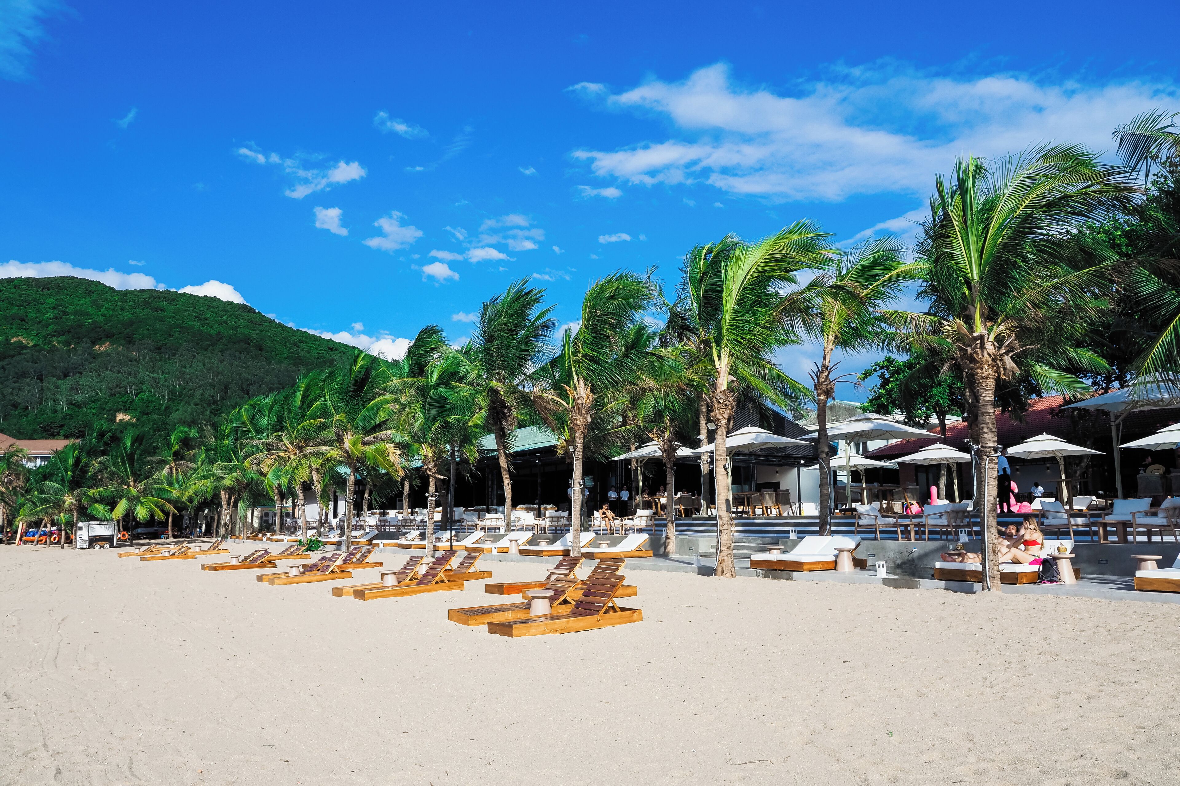 A beach with sun loungers and palm trees, a pool area, and a mountain in the background.