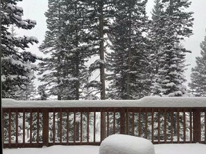 A snow-covered deck with a railing, surrounded by tall evergreen trees.