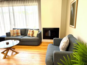 Smart TV, fireplace, books