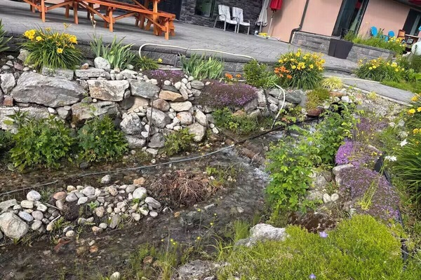 Àrea exterior de l'allotjament