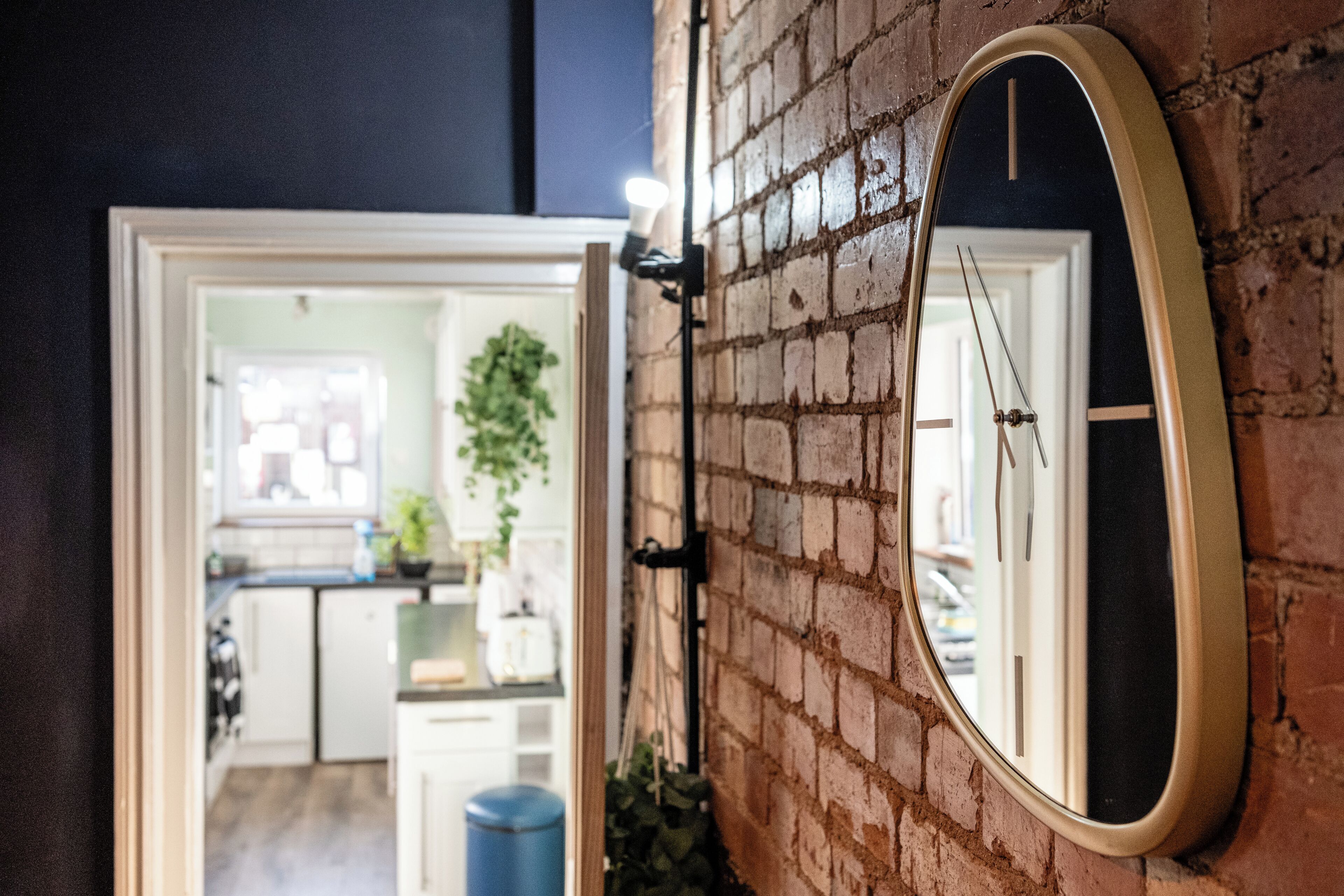 A kitchen with white cabinets, a blue trash bin, and a hanging plant.