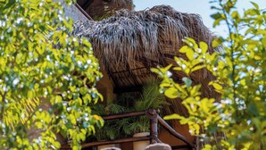 Exterior detail - Suite with Air: Playa la Ropa | 1 Bedroom (Zihuatanejo)