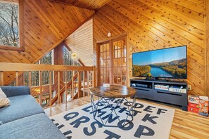 Télévision, cheminée, jeux vidéo, espaces bureaux