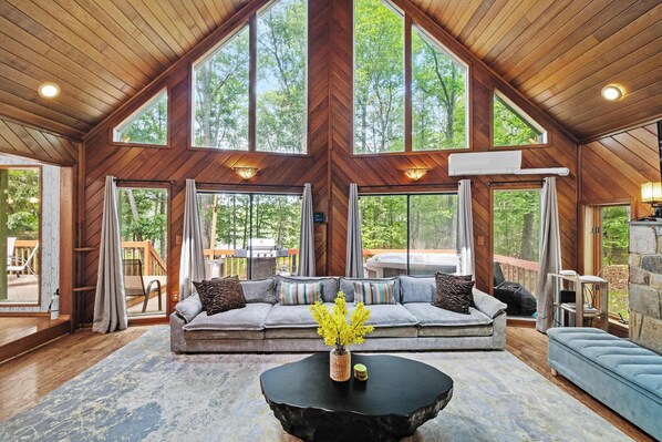 TV, fireplace, video games, table football