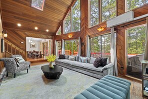 TV, fireplace, video games, table football