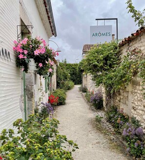 Overnatningsstedets område