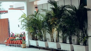 Una hilera de macetas con plantas y flores en un ambiente interior moderno.