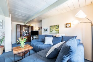 TV, fireplace, DVD player, stereo - Holiday Home 'Voß' with Private Terrace, Private Garden and Wi-Fi (Süderwaygaard/ Dagebüll)