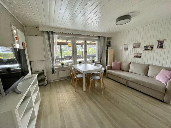 TV, DVD player, table tennis, stereo