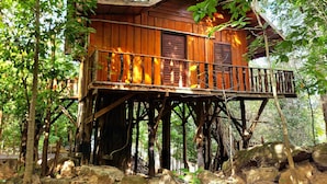 Une cabane en bois perchée dans un arbre, dotée d’un balcon et entourée d’une forêt dense.