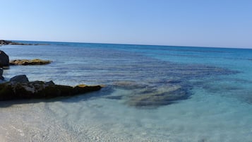 Vista desde la propiedad