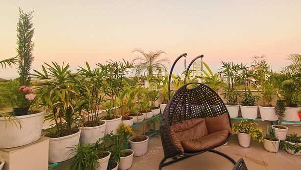 Un jardín en la azotea con diversas plantas en macetas y un sillón colgante.