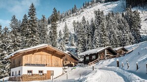 A wooden chalet with a sloped roof, a stone foundation, and a small staircase leading to the entrance.