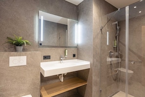 Shower, hair dryer