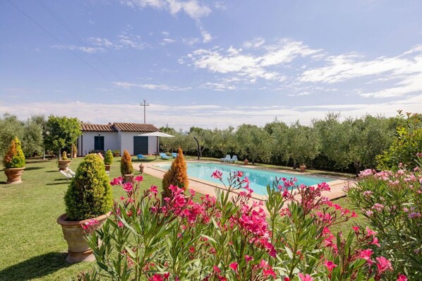 Pool - Beautiful private villa for 7 people with A/C, WIFI, private pool, patio and panoramic view (Cortona)