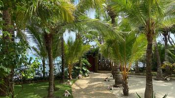 Áreas de la propiedad