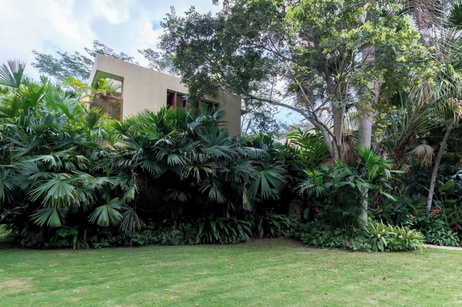 Un edificio moderno con tetto piatto e ampie finestre, immerso in una rigogliosa vegetazione tropicale.