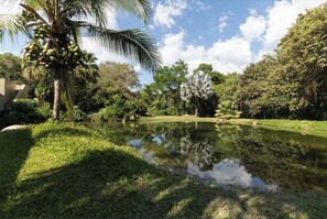 Natural surroundings 
