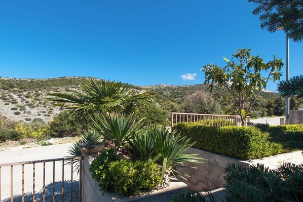 A landscaped area with a paved path, a metal fence, and various plants including palm trees. - Apartments and Rooms Mikelin - Studio apartment Jure 5 (Primošten)
