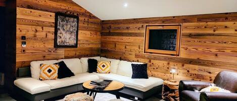 TV, DVD player, books, video library