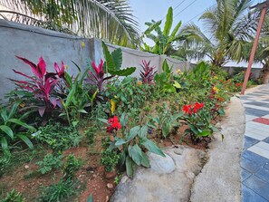 Terrain de lâhĂ©bergement