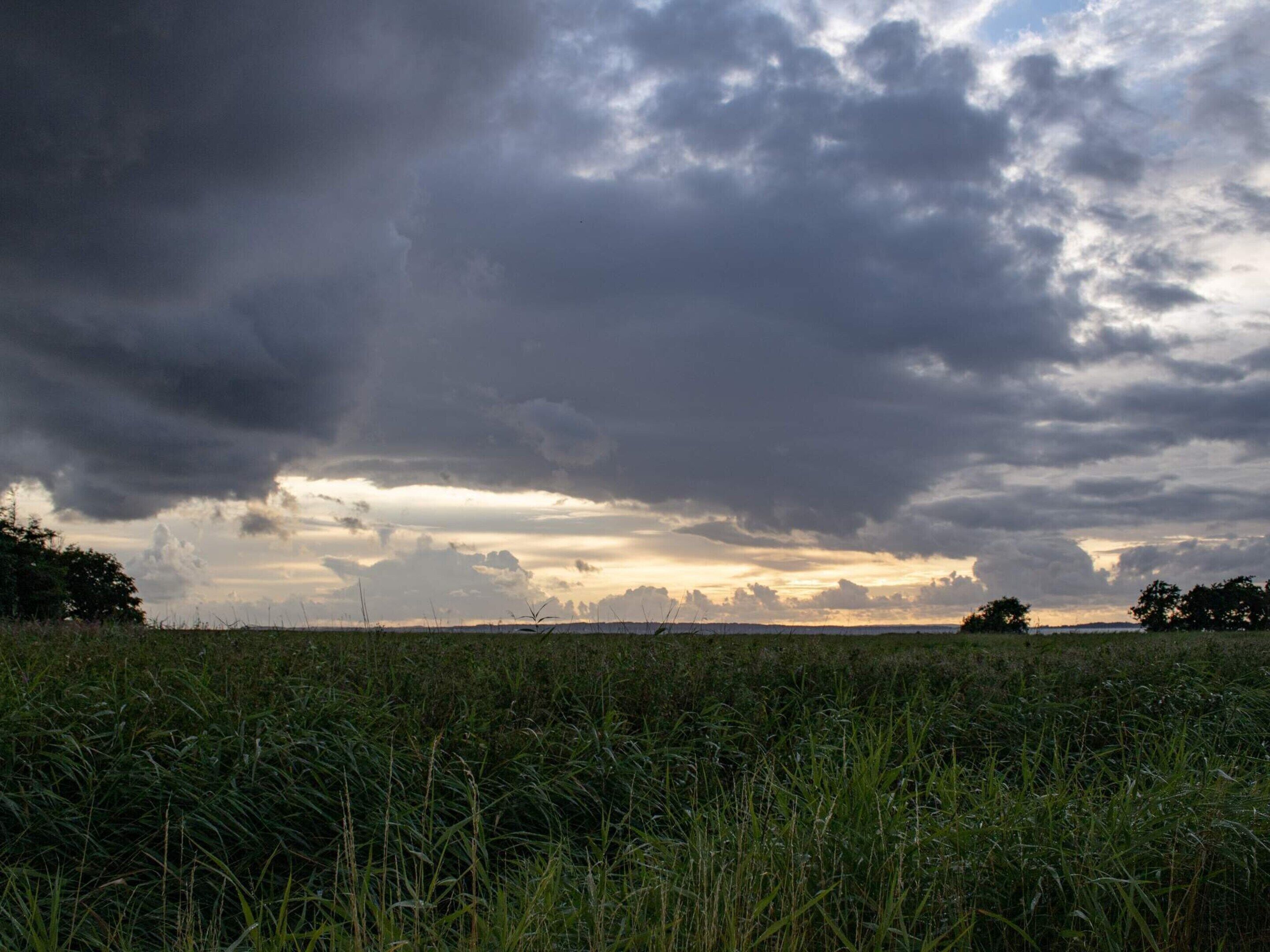 Un champ avec de l’herbe haute et un ciel nuageux.