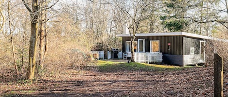 A cabin with a porch, surrounded by trees and a leaf-covered ground.