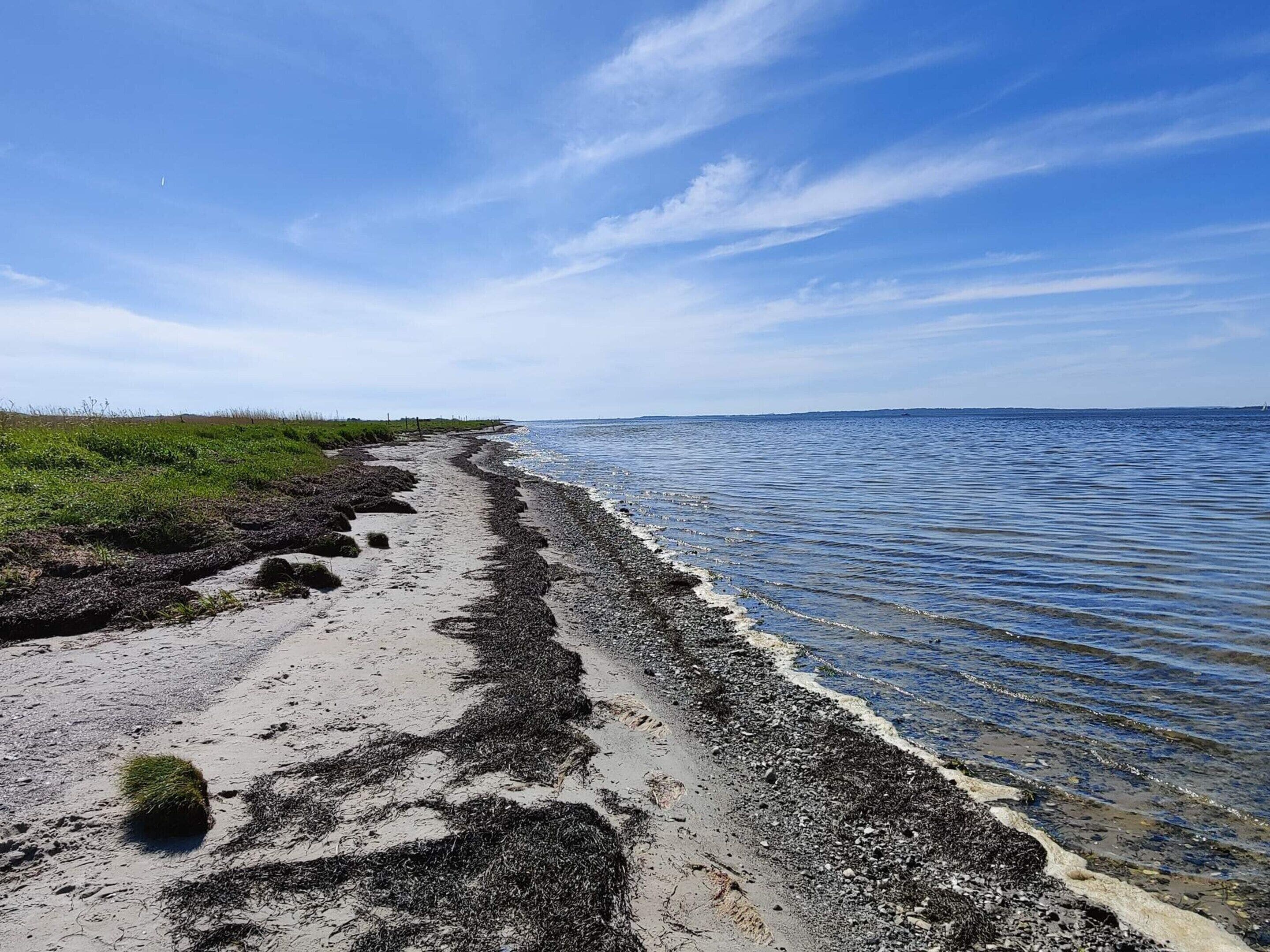 A beach with a clear sky, a sandy path, and a rocky shoreline.
