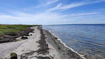 A beach with a clear sky, a sandy path, and a rocky shoreline.