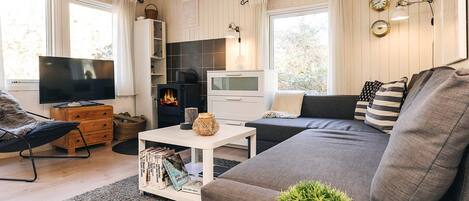 A cozy living room with a sofa, a television, a fireplace, and a bookshelf.