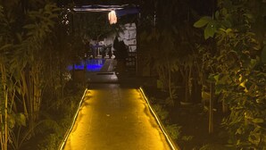 庭園