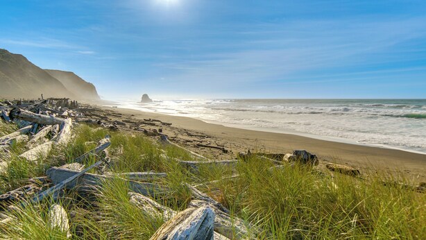 Ein Strand mit Treibholz und Gras im Vordergrund, ein felsiger Klippenhang links und das Meer im Hintergrund.