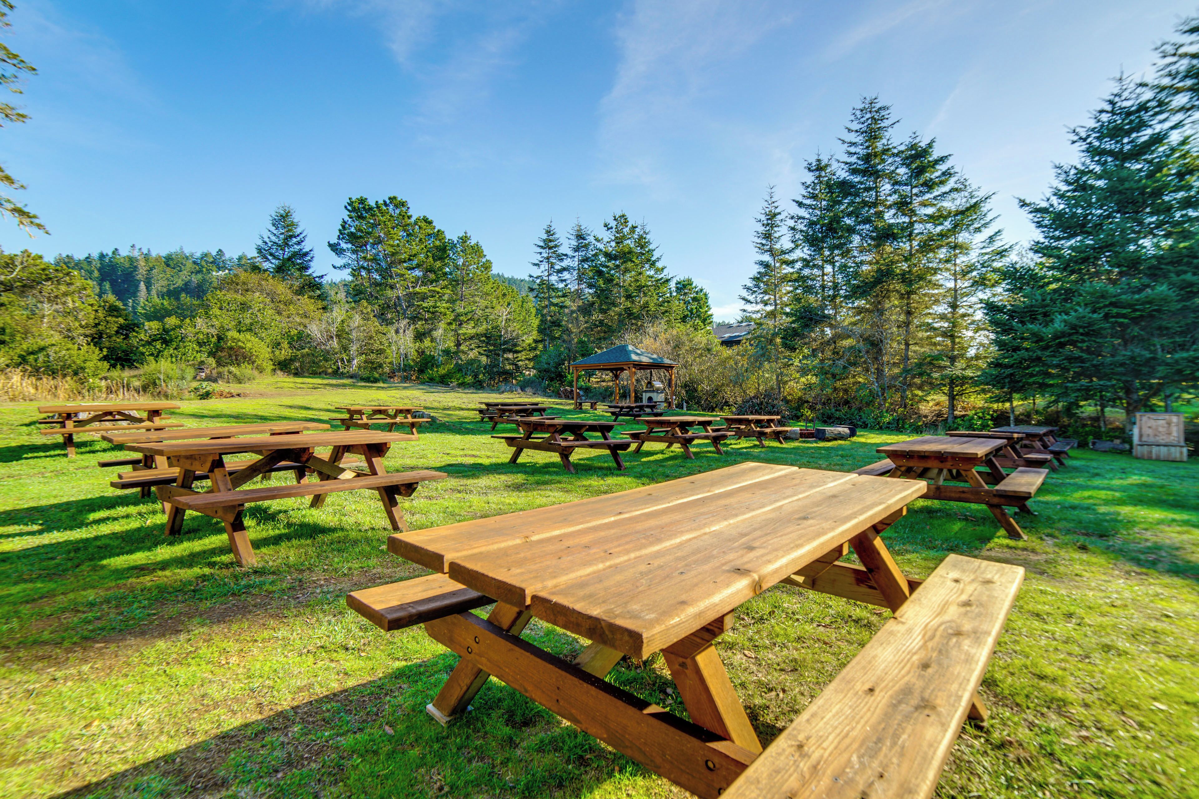 A picnic area with multiple wooden picnic tables and a gazebo in the background.