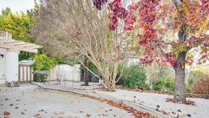 A paved courtyard with trees and a building.